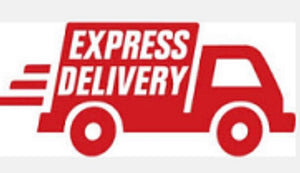 Next day delivery additional payment