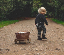 Load image into Gallery viewer, NATURAL wicker pull-along wagon toy, wagon toy with robe,
