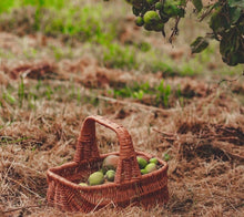 Load image into Gallery viewer, Flower girl basket, flower girl wicker basket, Easter basket, Wedding basket, wicker basket, flower basket, sensory basket, medium
