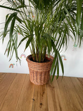 Load image into Gallery viewer, Wicker plant pot , Wicker flower pot
