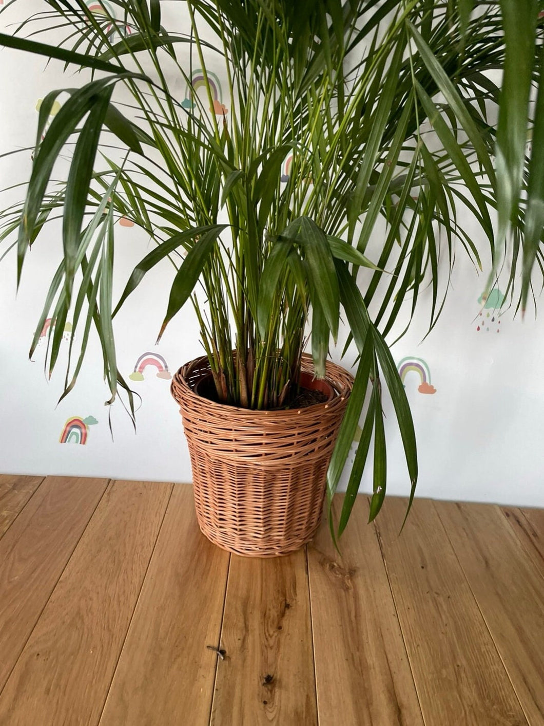 Wicker plant pot , Wicker flower pot