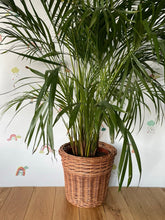 Load image into Gallery viewer, Wicker plant pot , Wicker flower pot
