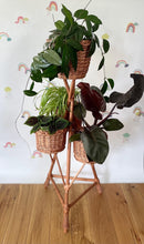 Load image into Gallery viewer, Wicker plant stand, plant display, rattan plant stand, plant holder, indoor plant stand,
