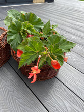 Load image into Gallery viewer, Wicker planters, wicker pots, garden decor planters x2
