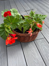 Load image into Gallery viewer, Wicker planters, wicker pots, garden decor planters x2
