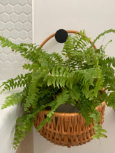 Load image into Gallery viewer, Wall hanging basket, hanging basket, flower basket, plant basket, Light grey

