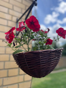 Wicker hanging plant basket