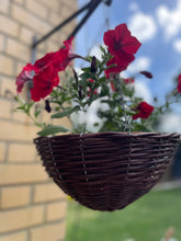 Load image into Gallery viewer, Wicker hanging plant basket
