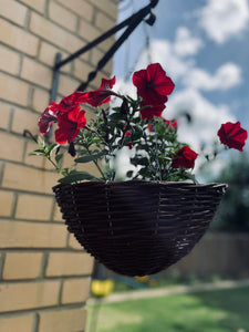 Wicker hanging plant basket