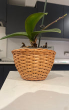 Load image into Gallery viewer, Small wicker pot, wicker flower pot
